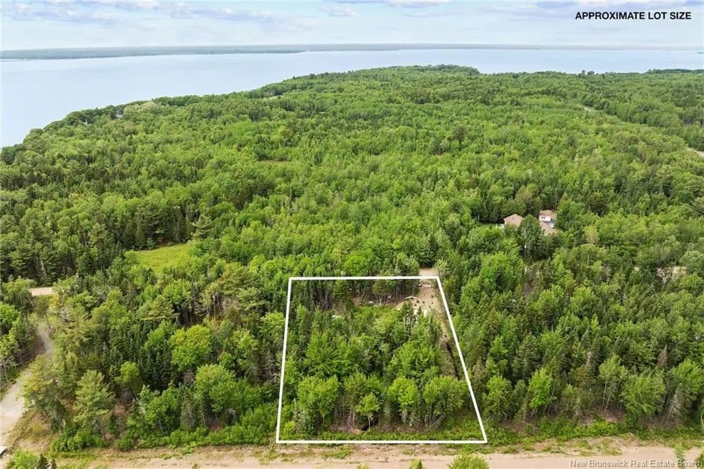 Land for Sale in Mill Cove, NB - land for sale
