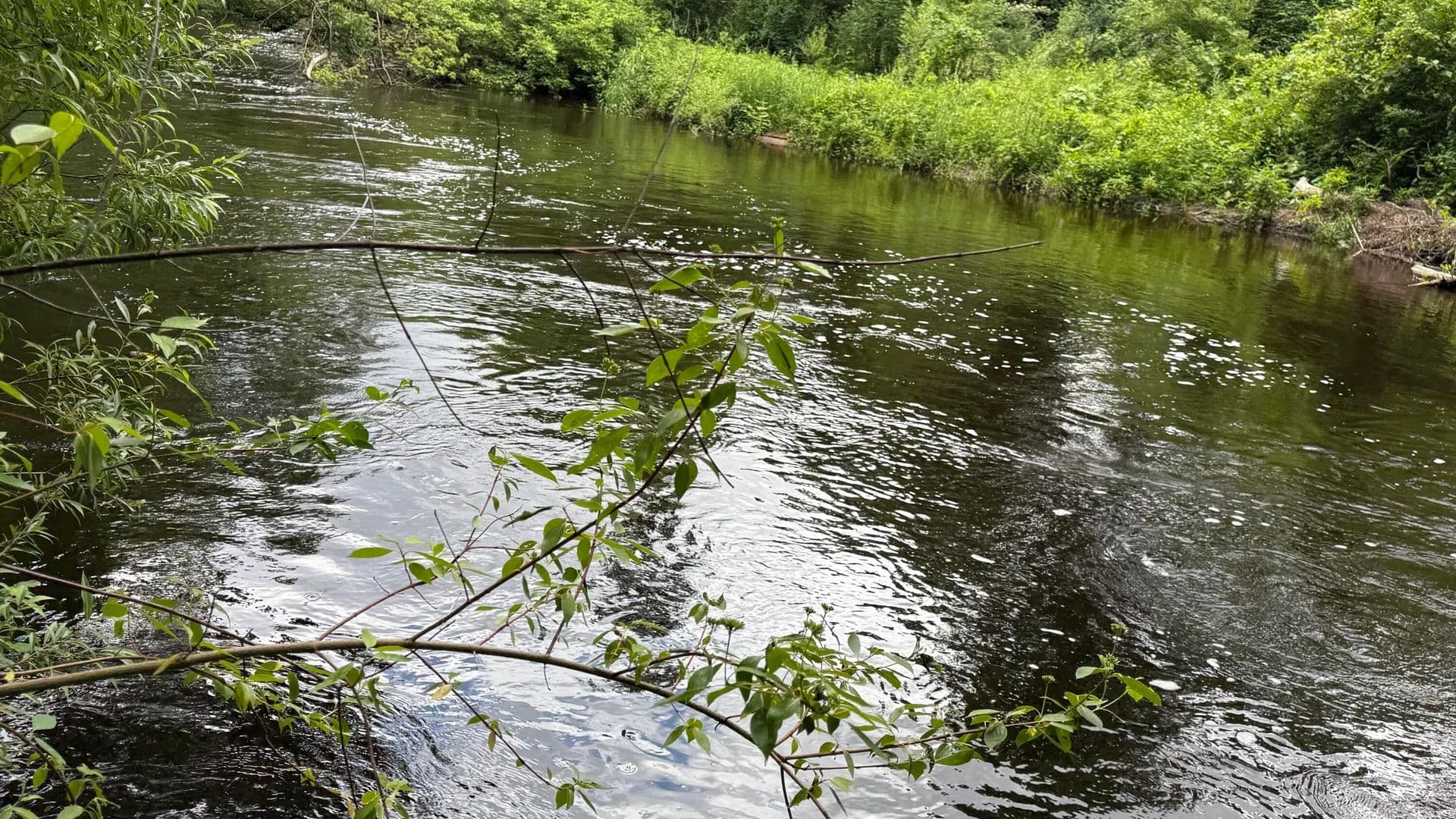 Property from S Woods Road - KW - Branch, Michigan, 49402