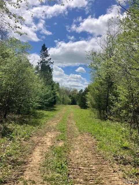Property from 246 Madison CR 410 - KW - Fredericktown, Missouri, 63645