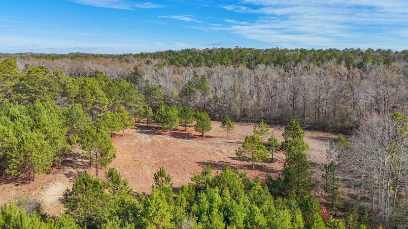 261± Acres | Prime Hunting / Family Farm Tract | Macon County, Alabama