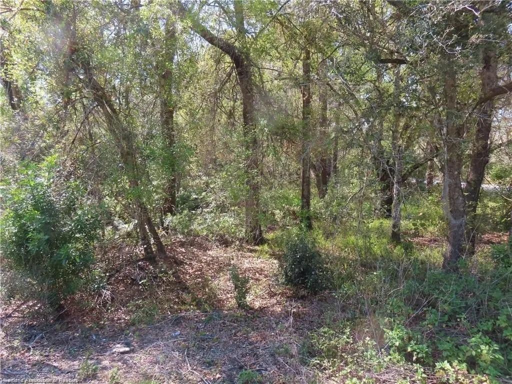 Lots & Land-Other in Sebring - land for sale