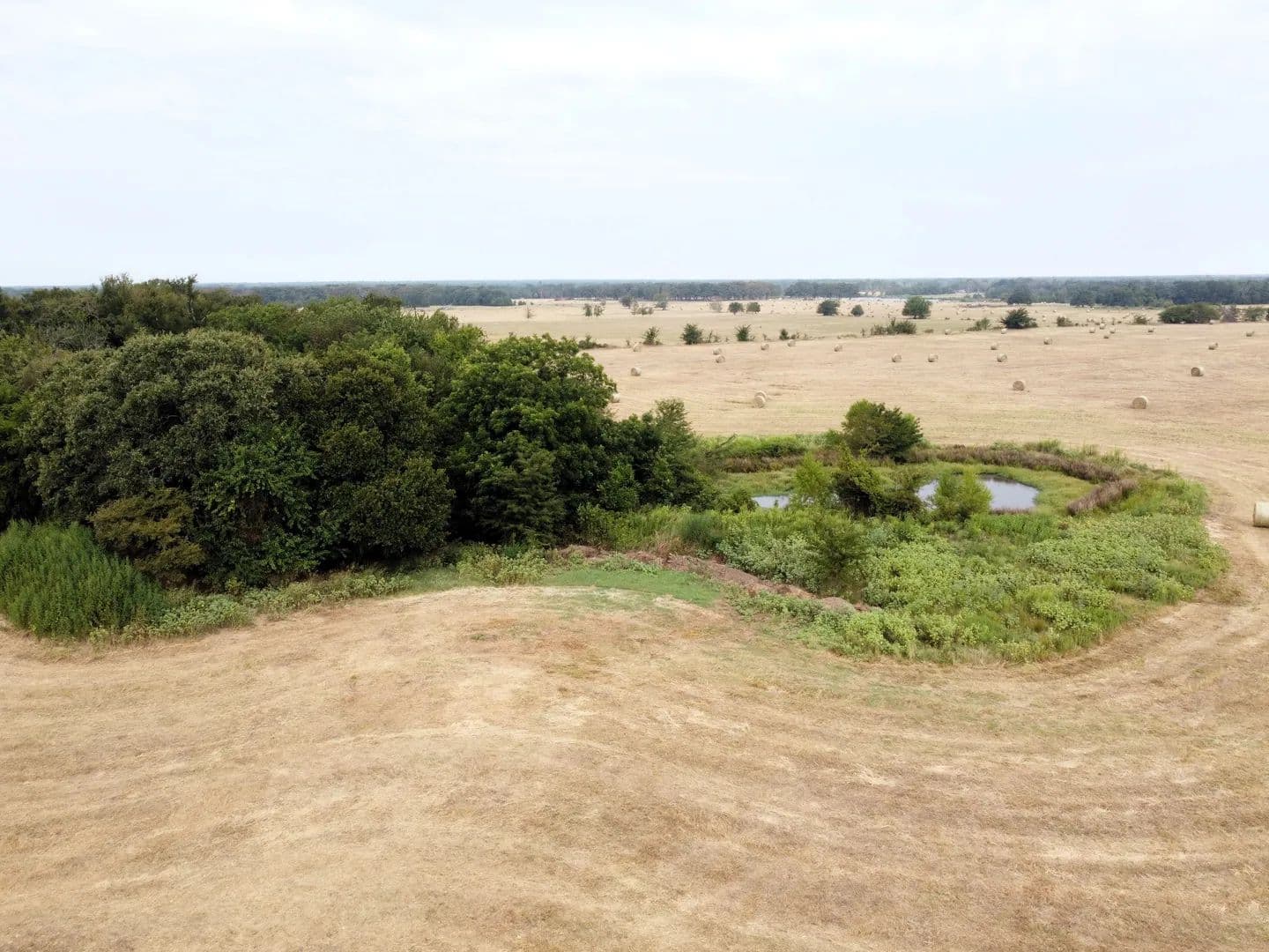 Land -Agricultural (Not Zoned) in Miller Grove - Miller Grove, Texas, 75433