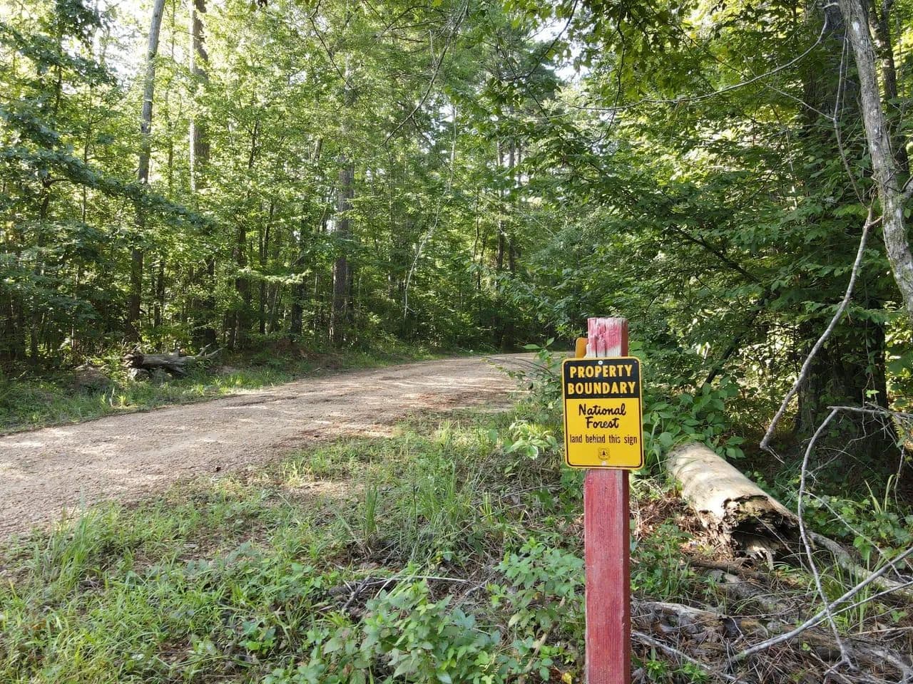 Gravel Roads,Gobblin Birds, & an opportunity to kill a buck for the wall......one of our favorite areas - Union Church, Mississippi, 39668
