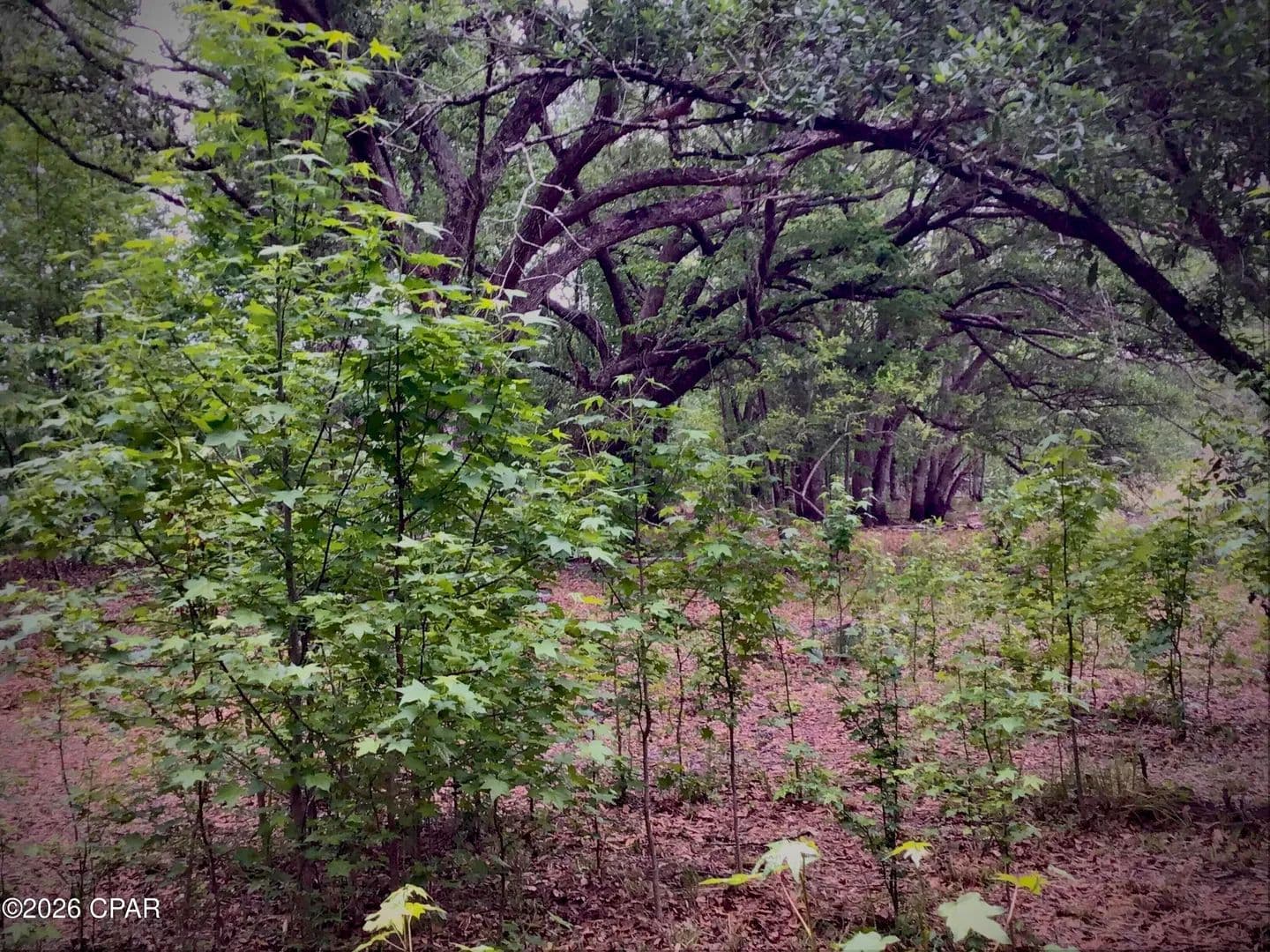 Property from 0 Little Zion Road - KW - land for sale