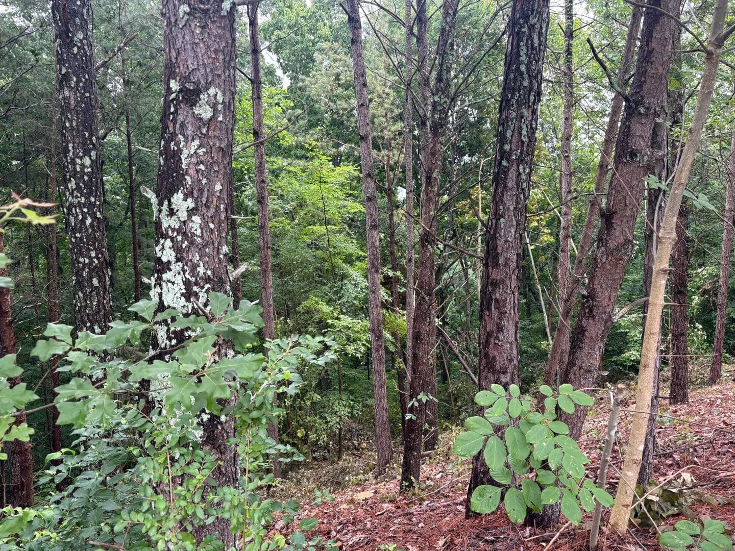 Property from 0 NW Benjamin Circle - KW - Cleveland, Tennessee, 37312