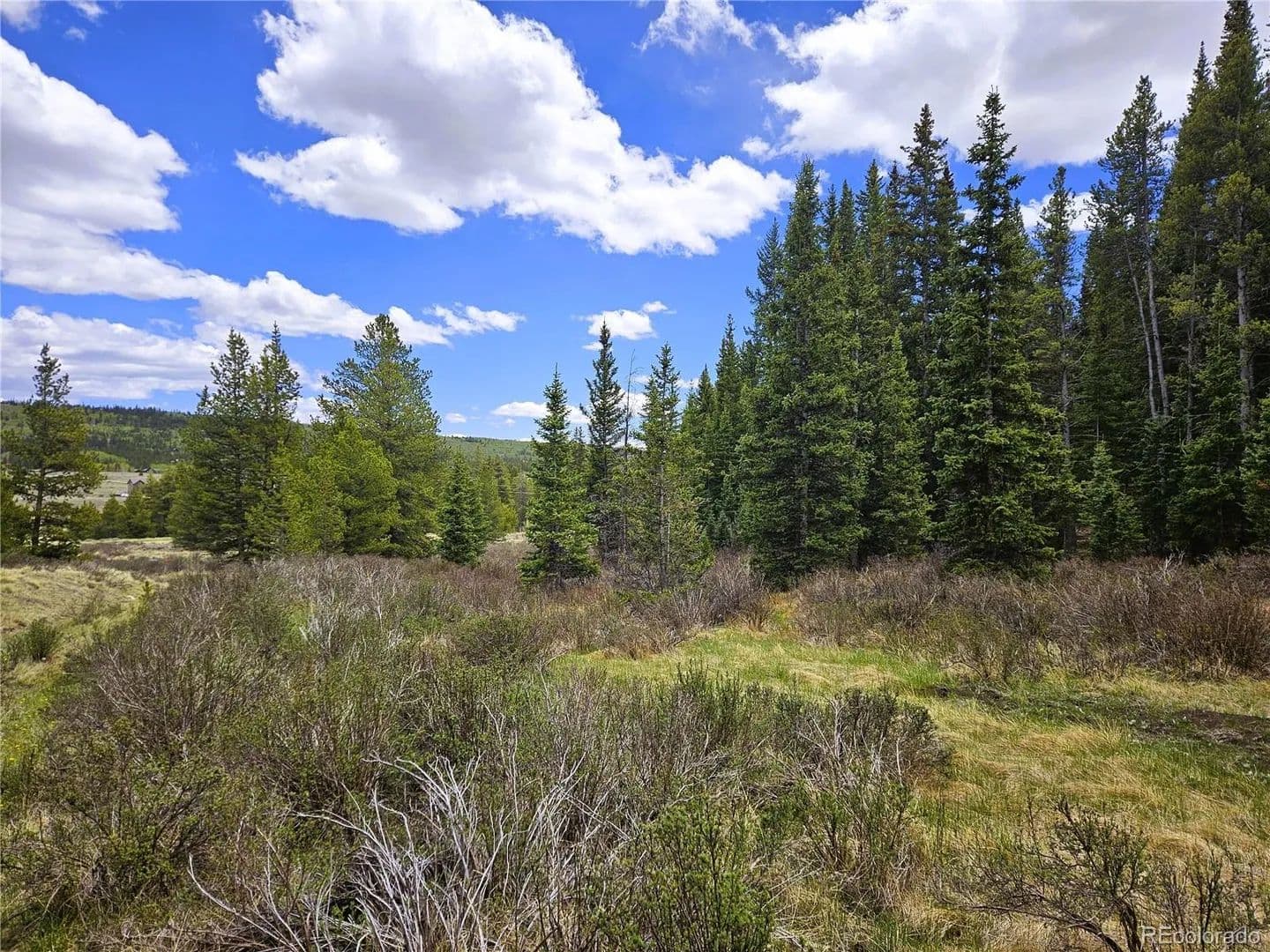 20 Acres of Land for Sale in Fairplay, Colorado - Fairplay, Colorado, 80440