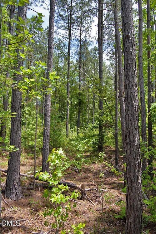 10.4 Acres of Land for Sale in Louisburg, North Carolina - Louisburg, North Carolina, 27549