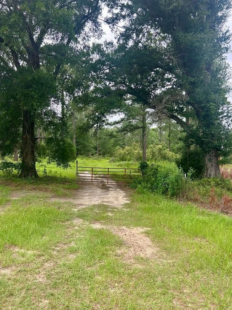 Property from 1182 Jacksonville Hwy - KW - Fitzgerald, Georgia, 31750