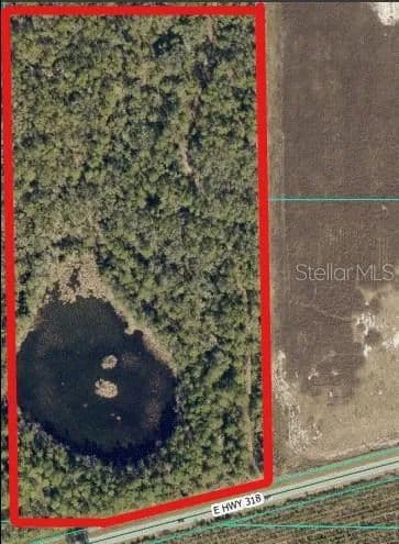 20 Acres of Land for Sale in CITRA, FL - Citra, Florida, 32113