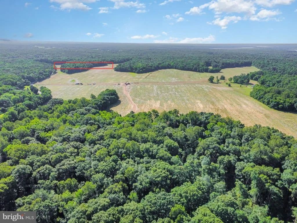 10 Acres of Land for Sale in King George, Virginia - King George, Virginia, 22485