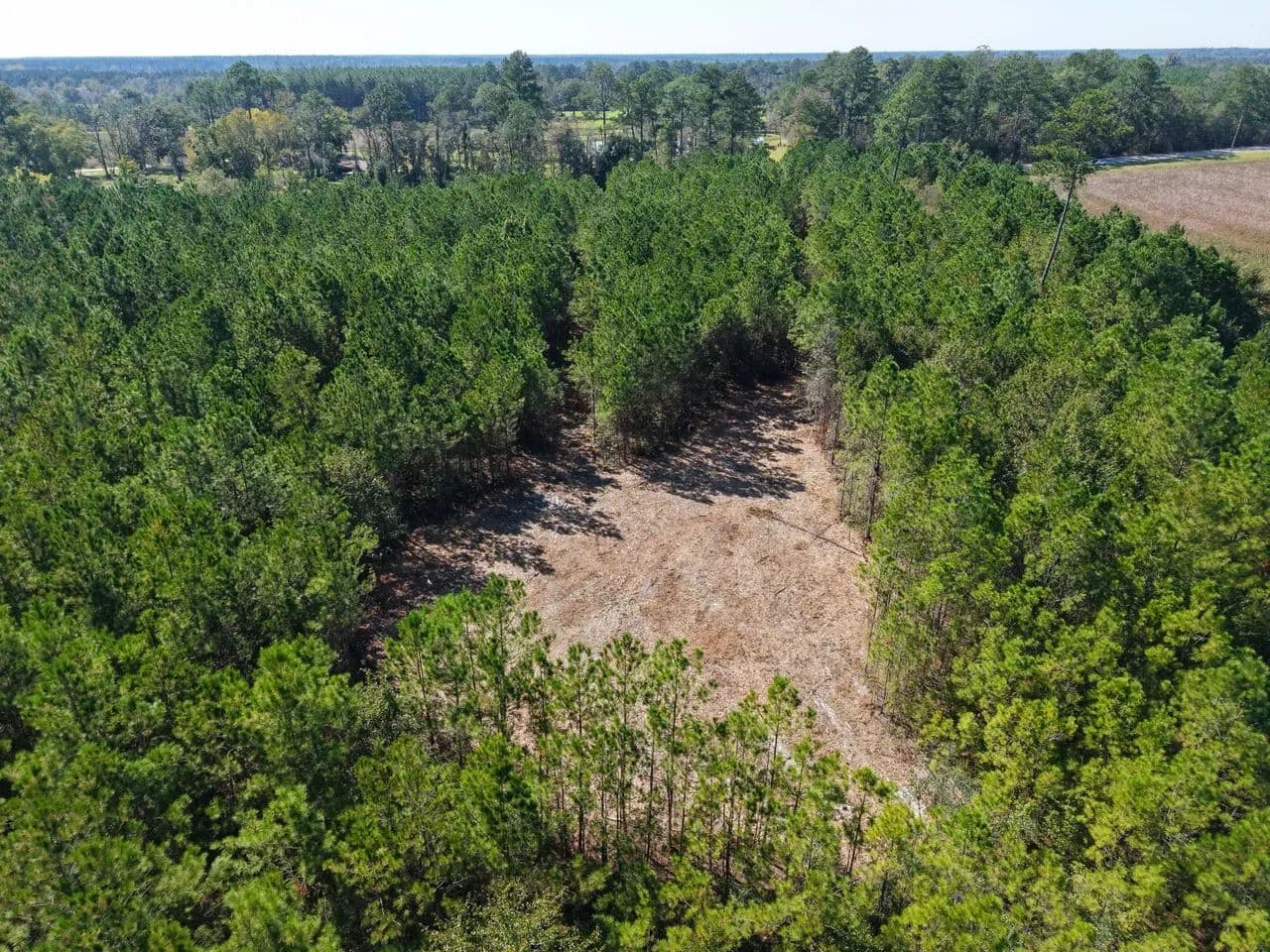 3.01 +/- Ac Land for Sale in Ware County, GA - land for sale