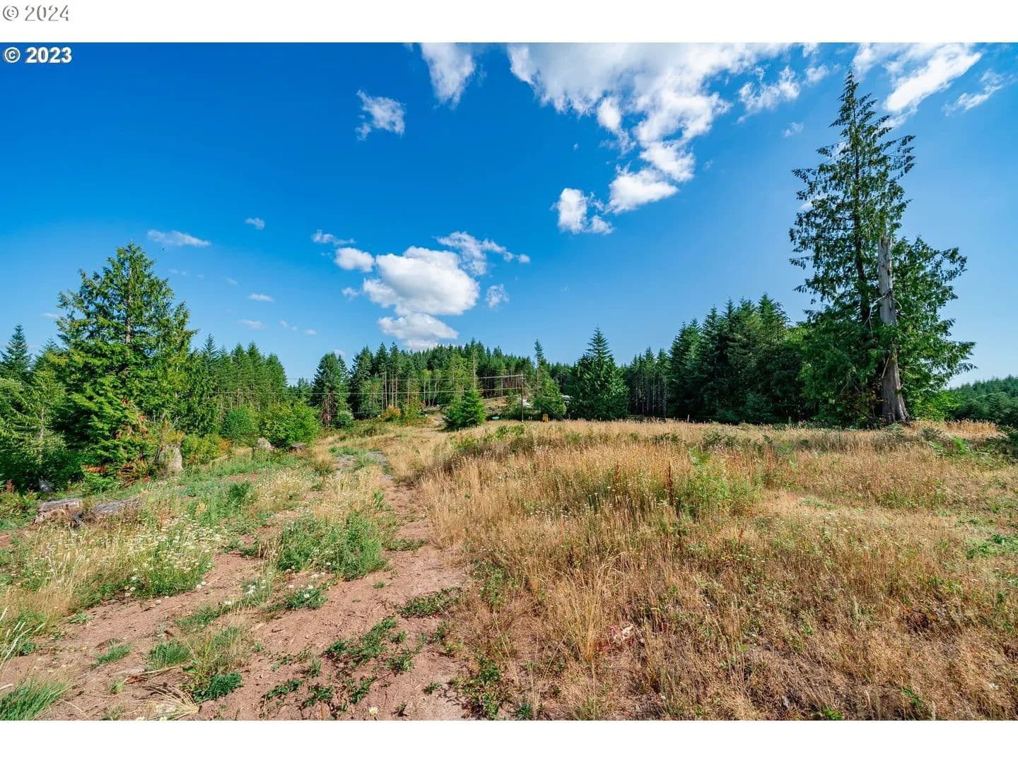 Property from 0 S Silver Lake #8 - KW - Castle Rock, Washington, 98611