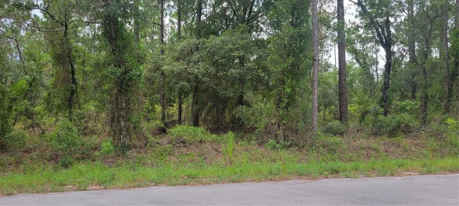 Lots & Land-Other in DUNNELLON - Dunnellon, Florida, 34431