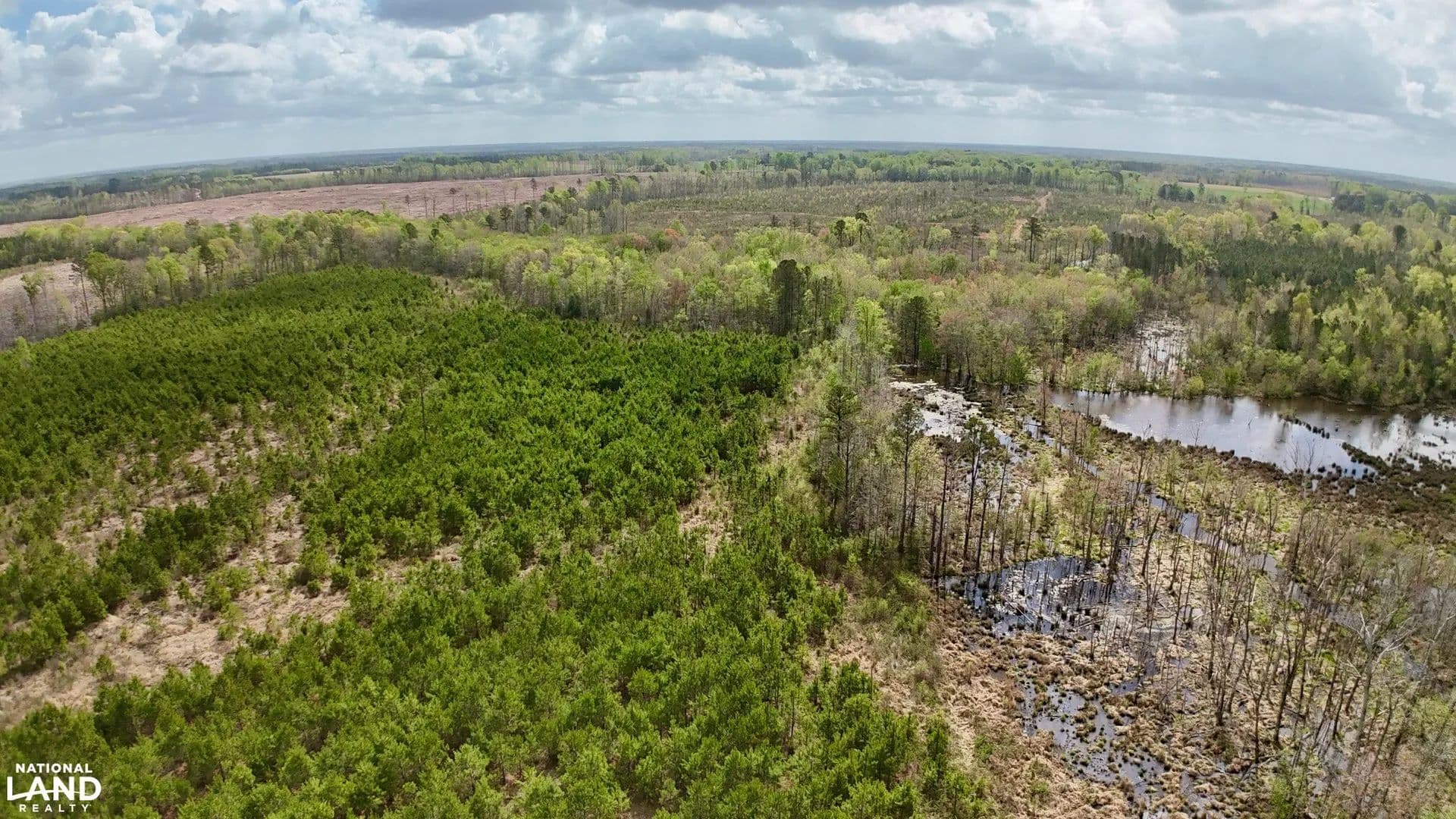 Halifax Timber and Rec Tract - Roanoke Rapids, North Carolina, 27850