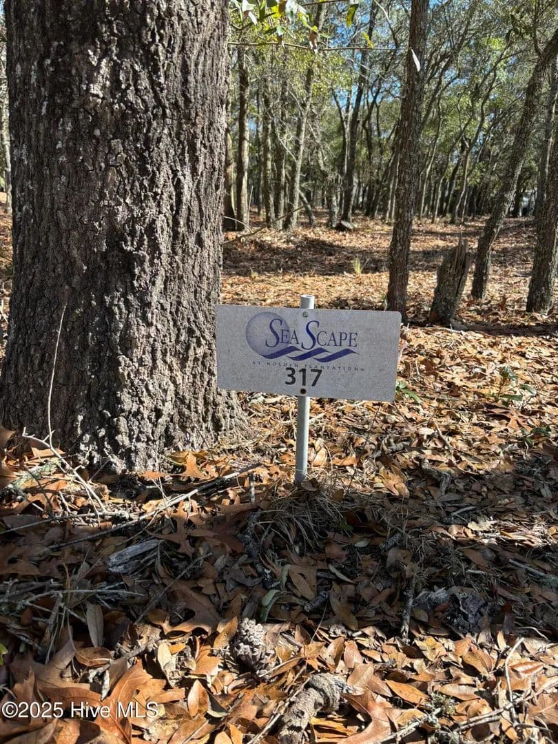 Vacant Land in Supply - Supply, North Carolina, 28462