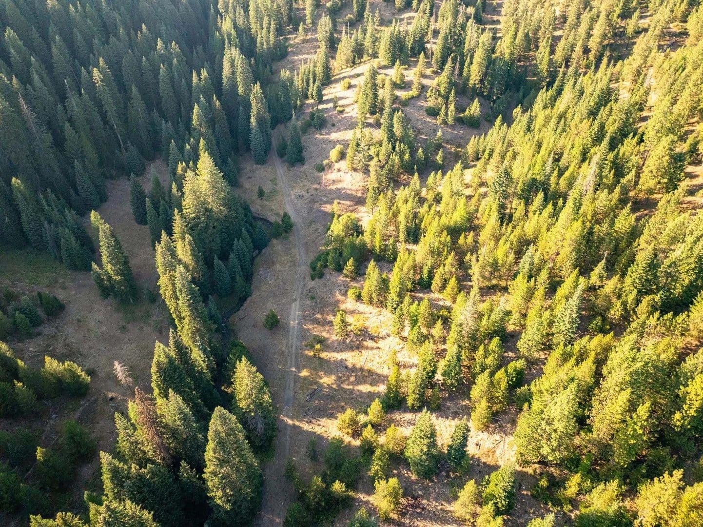 Goose Creek Getaway - land for sale
