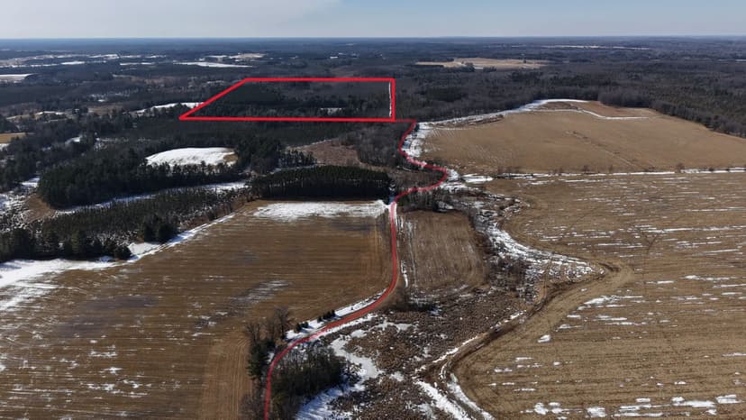Portage County Wisconsin 80 Acres of Hunting Land for Sale