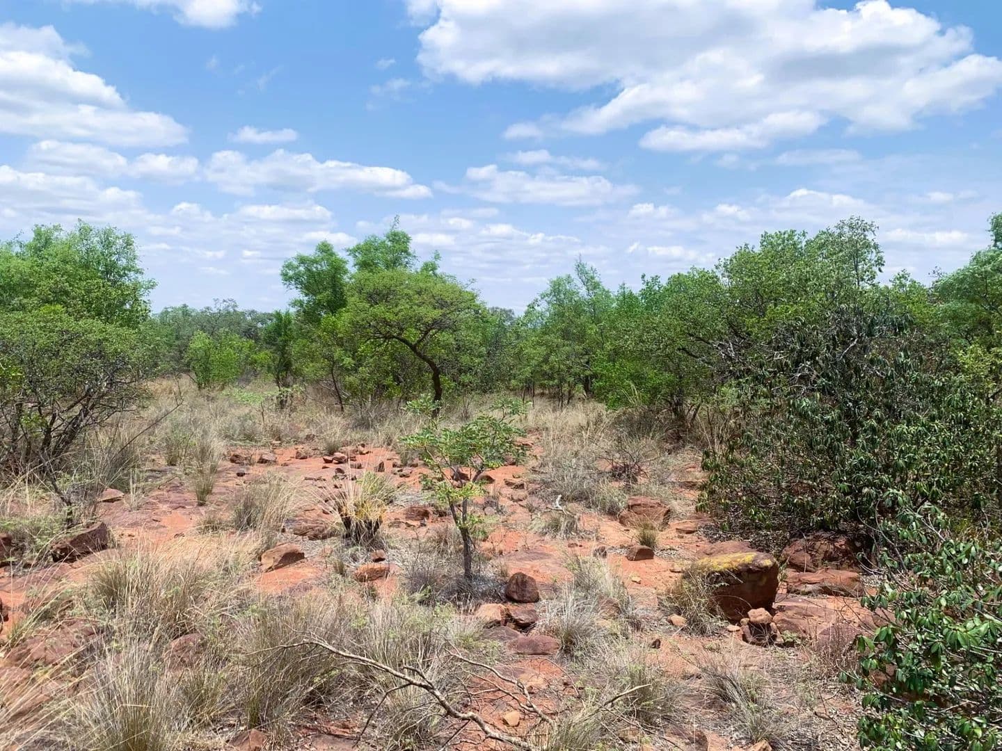 Land for Sale in Modimolle, Limpopo - land for sale