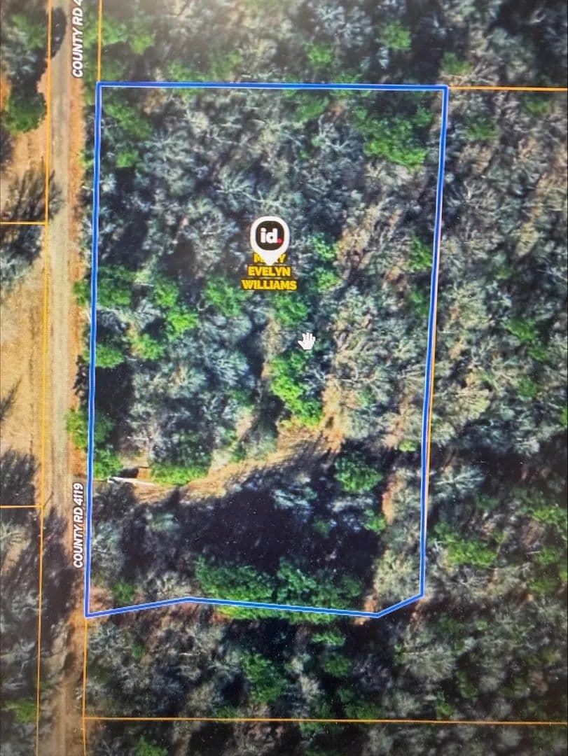 4.6 Acres of Land for Sale in Daingerfield, TX - Daingerfield, Texas, 75638