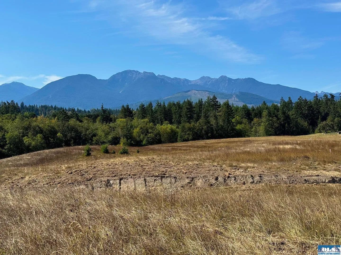 Property from Parcel 11 Olympic Meadows - KW - Port Angeles, Washington, 98362