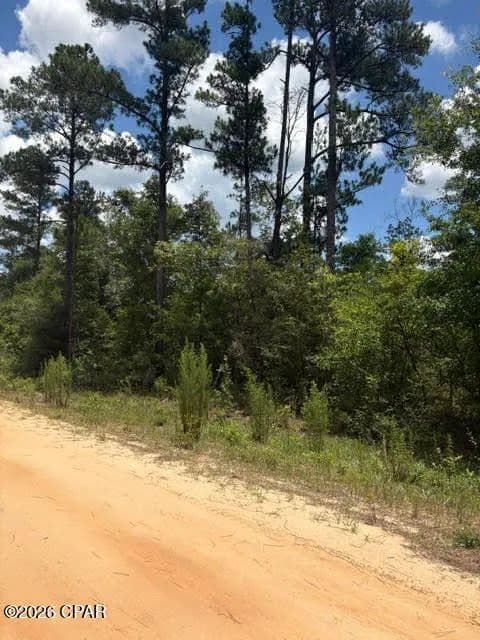 Property from 0 Tiger Avenue #LT3 BLK75 - KW - Marianna, Florida, 32448