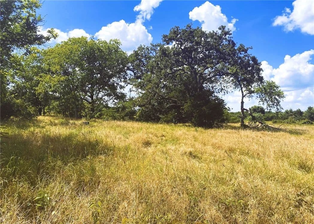 12.56 Acres of Land for Sale in Bremond, Texas - Bremond, Texas, 76629