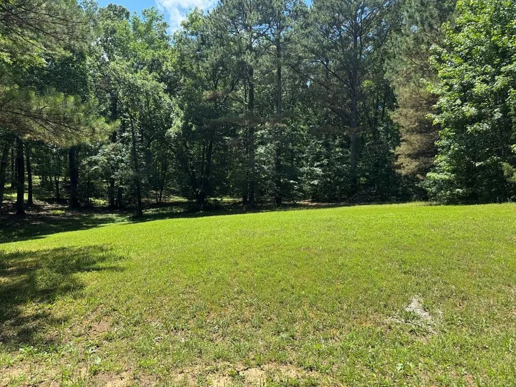 Property from 00 Beech Lane - KW - Buchanan, Tennessee, 38222