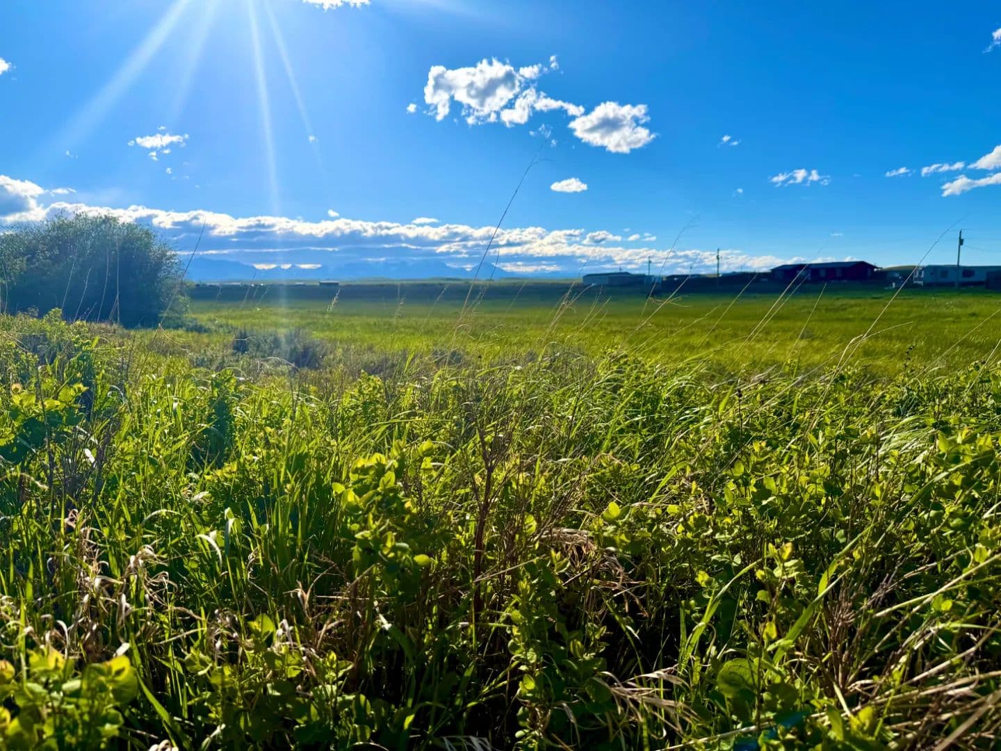 Affordable Acreage in Glacier County - Browning, Montana, 59417