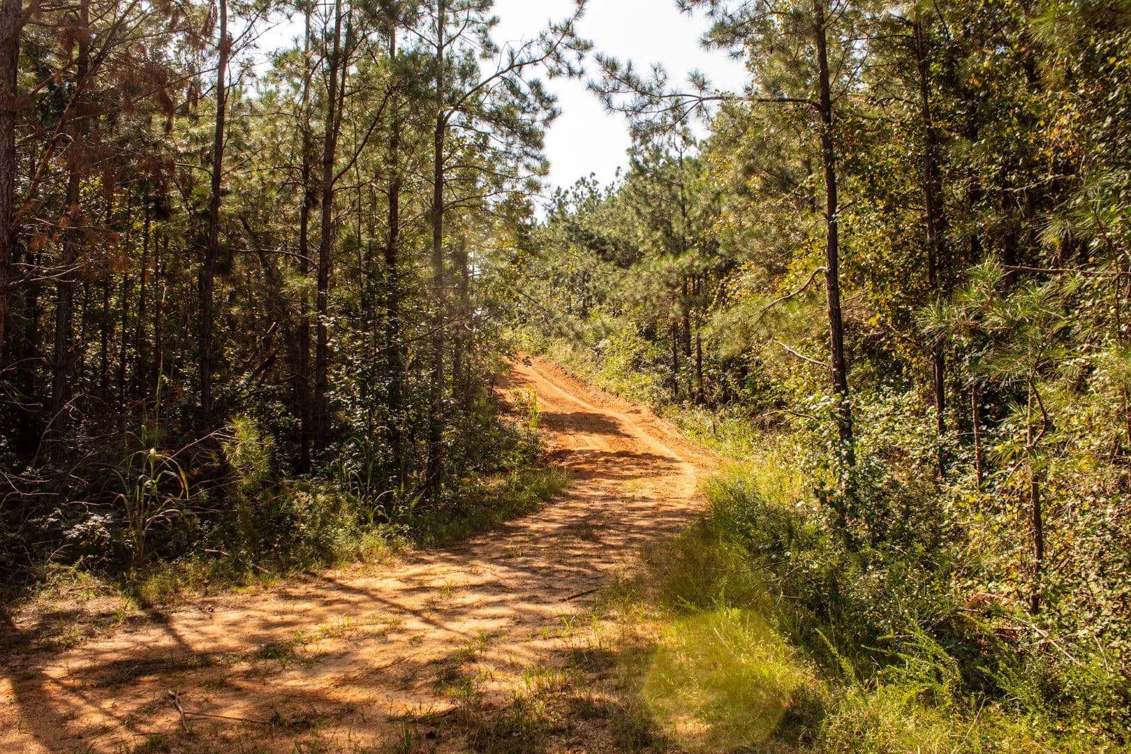 286 Acres with a Barndominium in Hardin County, TN - Counce, Tennessee, 38326