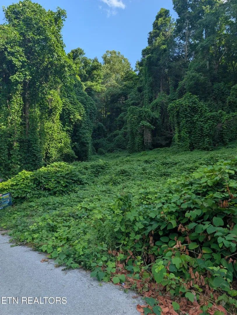 1.02 Acres of Land for Sale in Middlesboro, Kentucky - Middlesboro, Kentucky, 40965