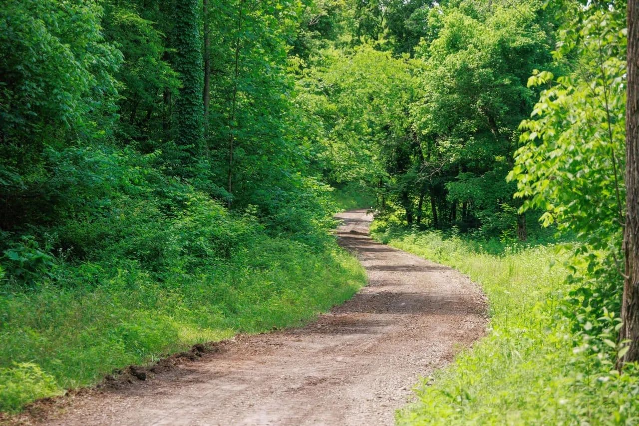 582 Cedar Bend Rd - Beechgrove, Tennessee, 37018