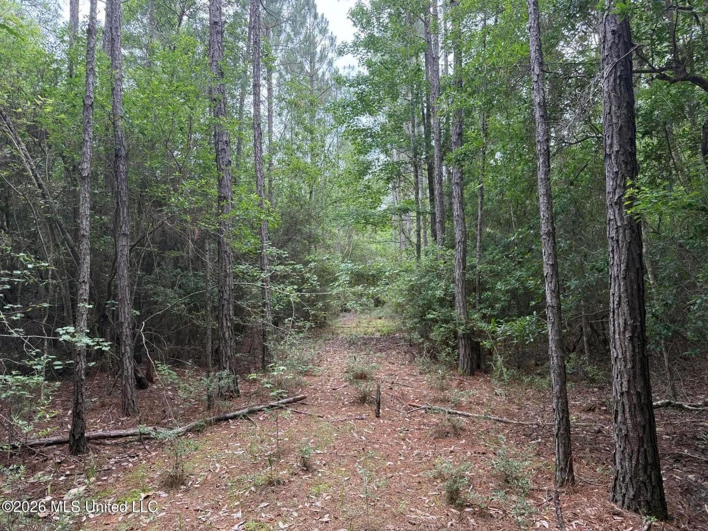 Property from Highway 49 - KW - Saucier, Mississippi, 39574