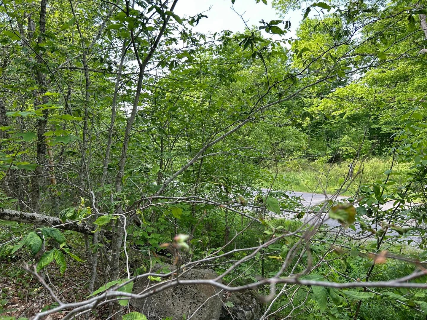 4 Acres of Land for Sale in Prospect, Maine - Prospect, Maine, 04981