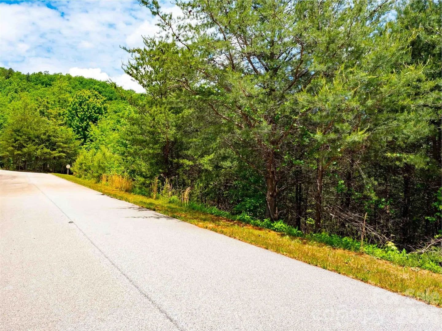 Property from LOT 150 Birkdale Drive - KW - Mill Spring, North Carolina, 28756
