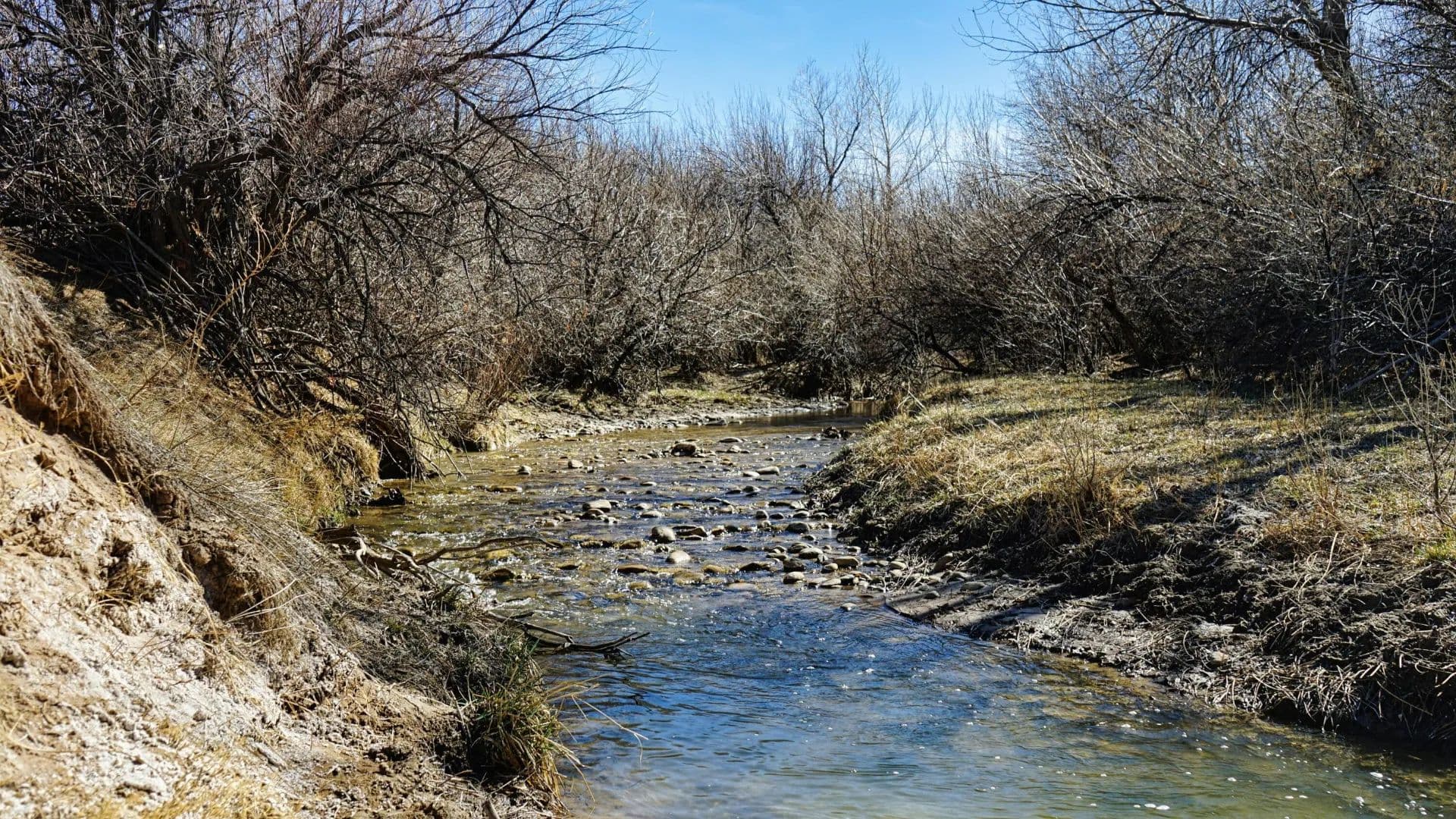 161 Colorado Land & Livestock Unit F, Walsenburg, CO 81089 - Walsenburg, Colorado, 81089