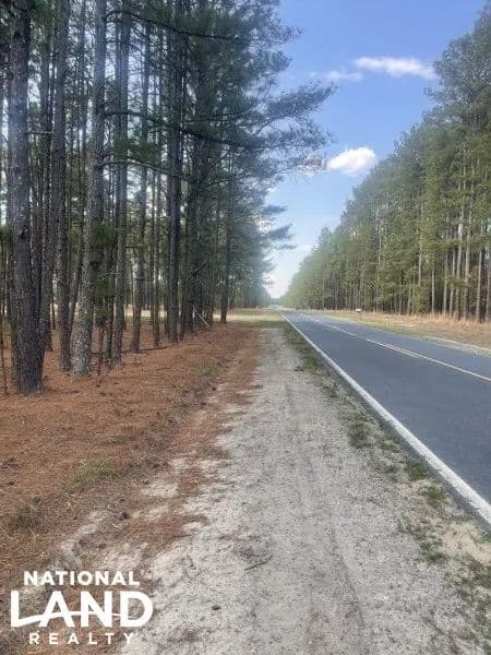 Perfect Homesite - Jackson Springs, North Carolina, 27281