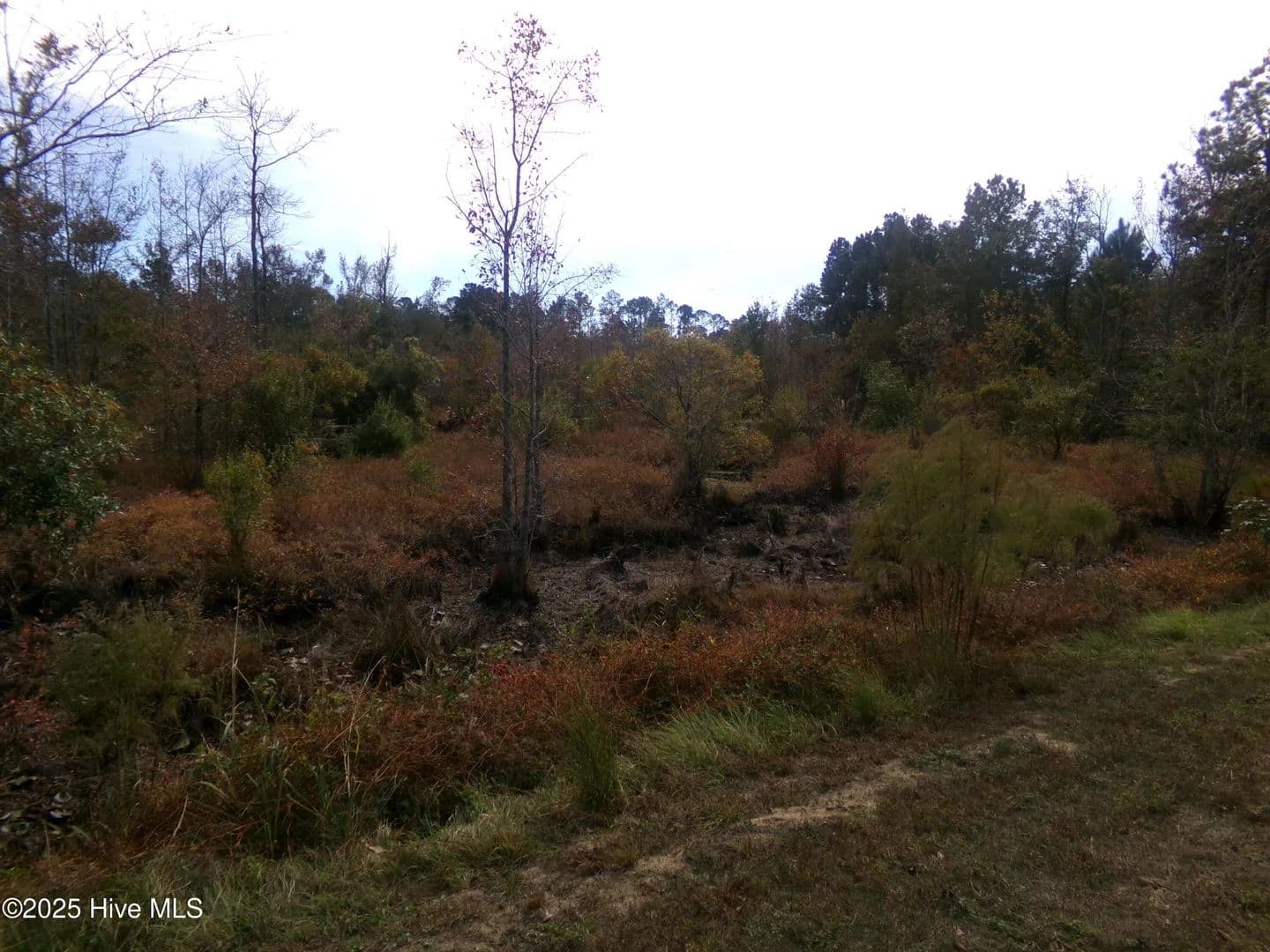 Property from Lot 44964 Big Island Road - KW - White Oak, North Carolina, 28399