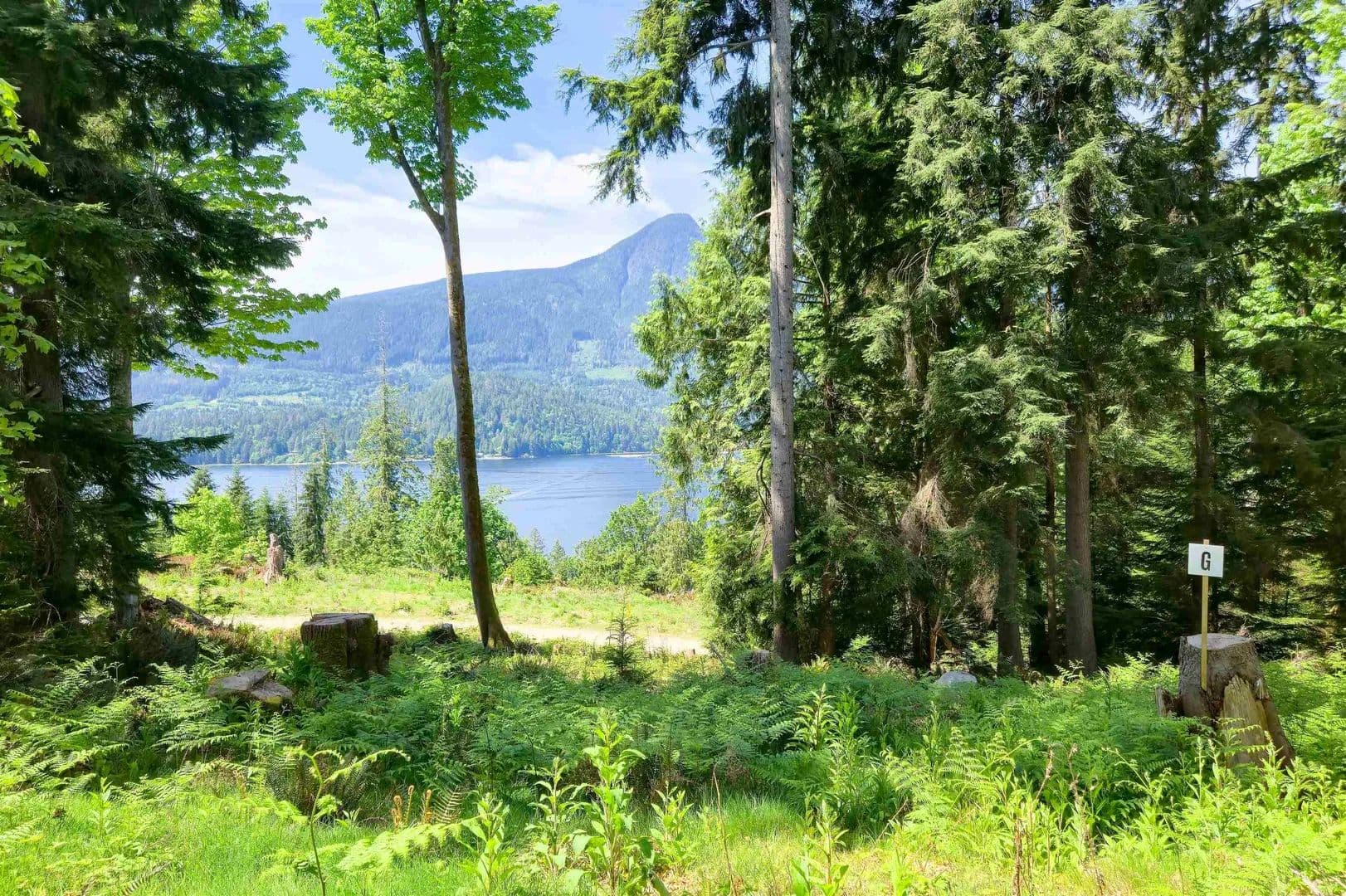 Property from LOT G Cotton Bay Road - KW - Canada