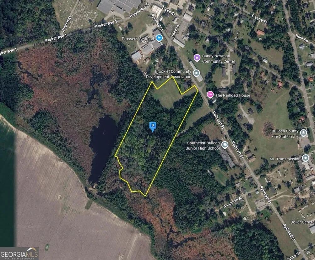 15.36 Acres of Land for Sale in Brooklet, Georgia - Brooklet, Georgia, 30415