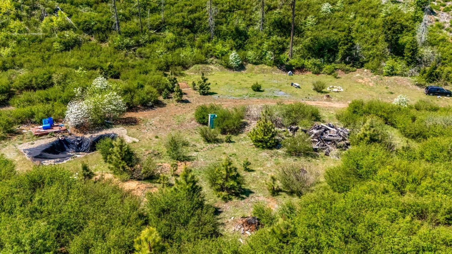 40.1 Acres of Land for Sale in Georgetown, CA - Georgetown, California, 95634