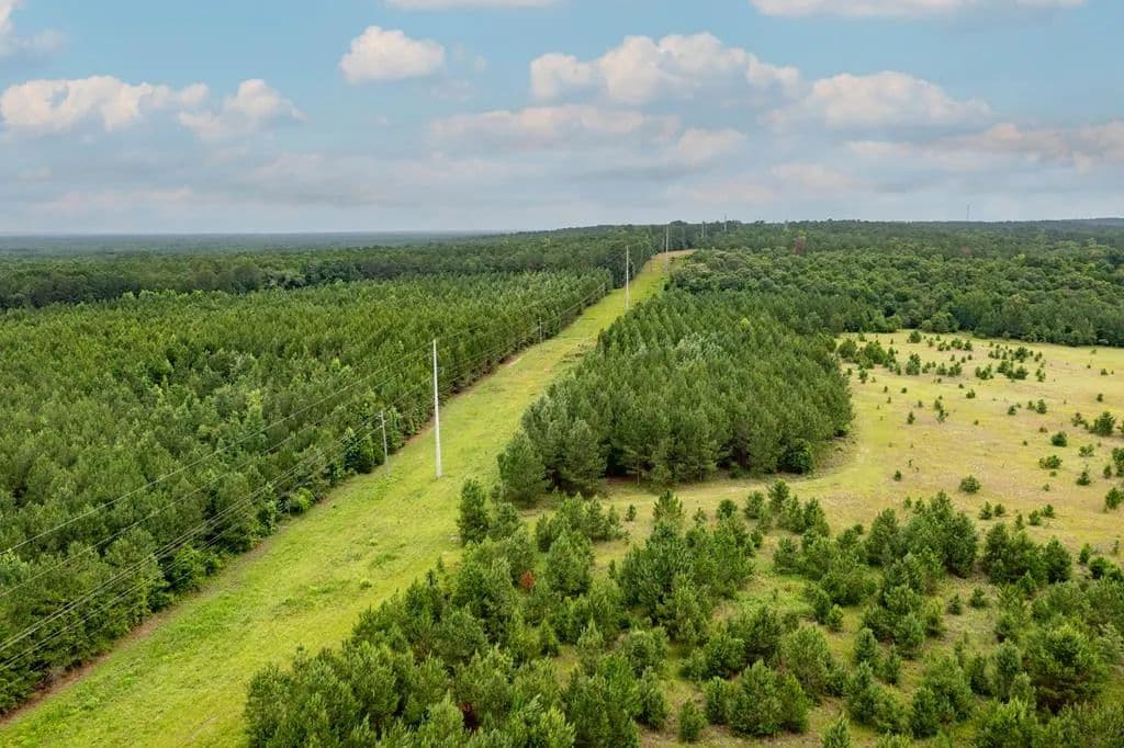 174 Acres of Land for Sale in Fort Gaines, GA - Fort Gaines, Georgia, 39851