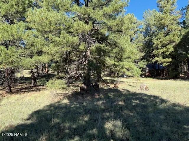 Property from 5920 White Tail Lane - KW - Flagstaff, Arizona, 86005