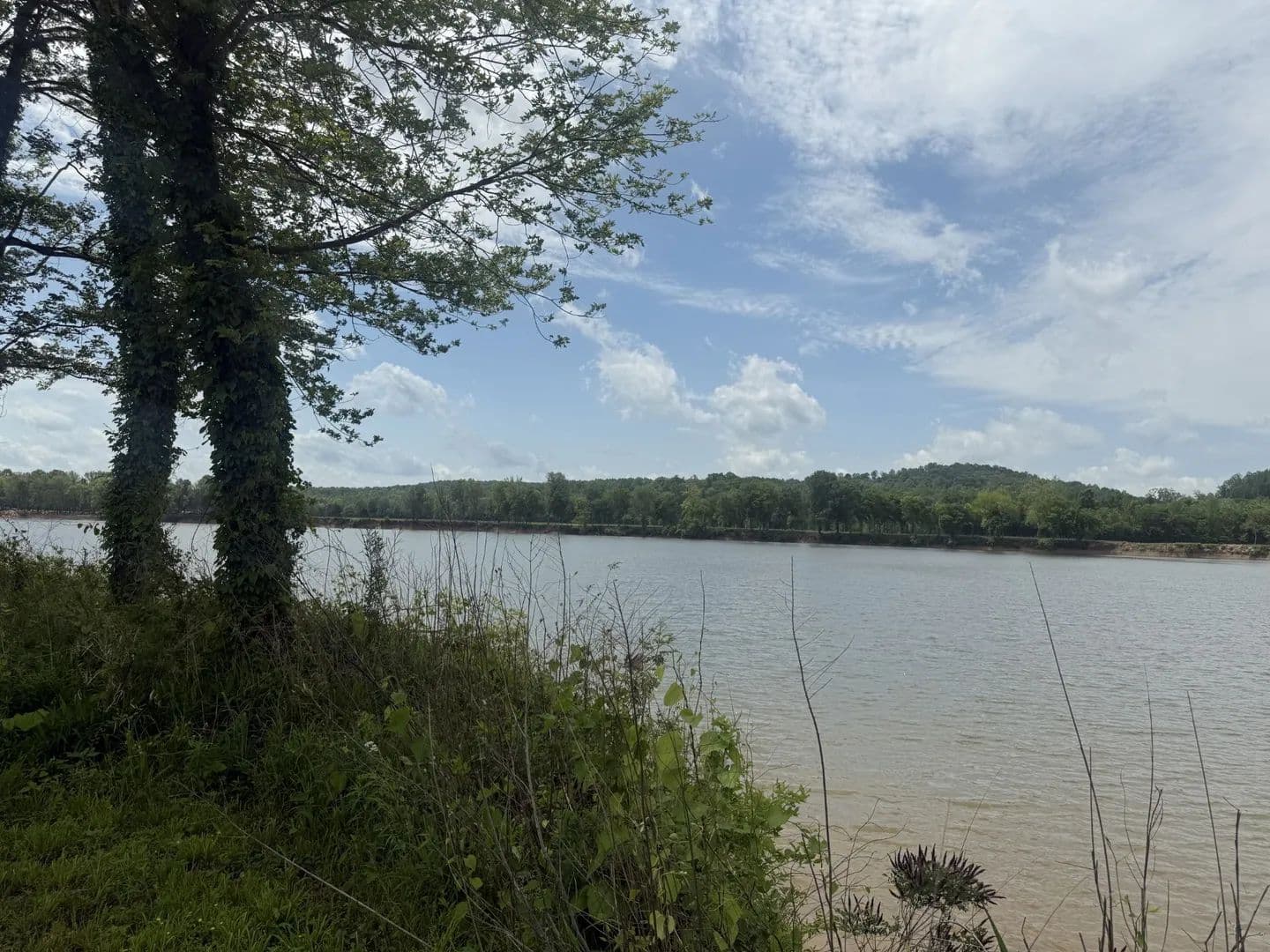 Property from 167 Hardin Bottom River Rd - KW - Clifton, Tennessee, 38425