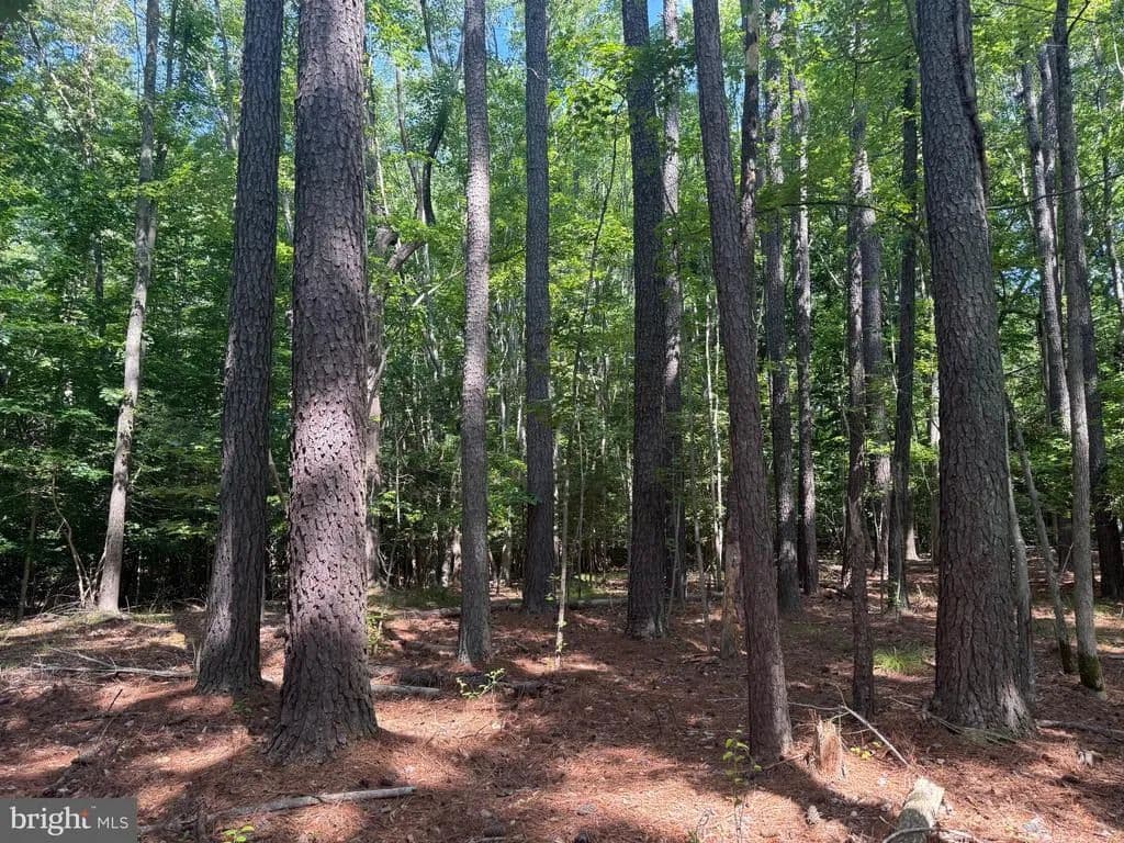 3.58 Acres of Land for Sale in Solomons, Maryland - land for sale