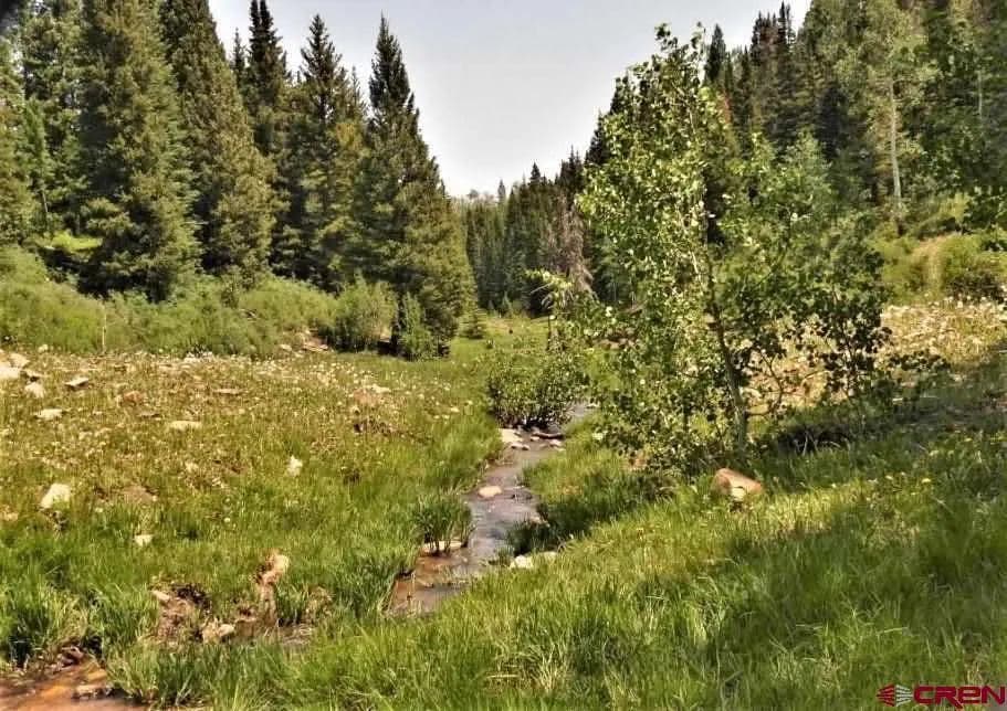 Property from TBD Transfer Road - KW - Montrose, Colorado, 81403