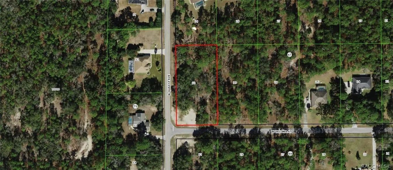 1 Acre of Land for Sale in Hernando, Florida - Hernando, Florida, 34442