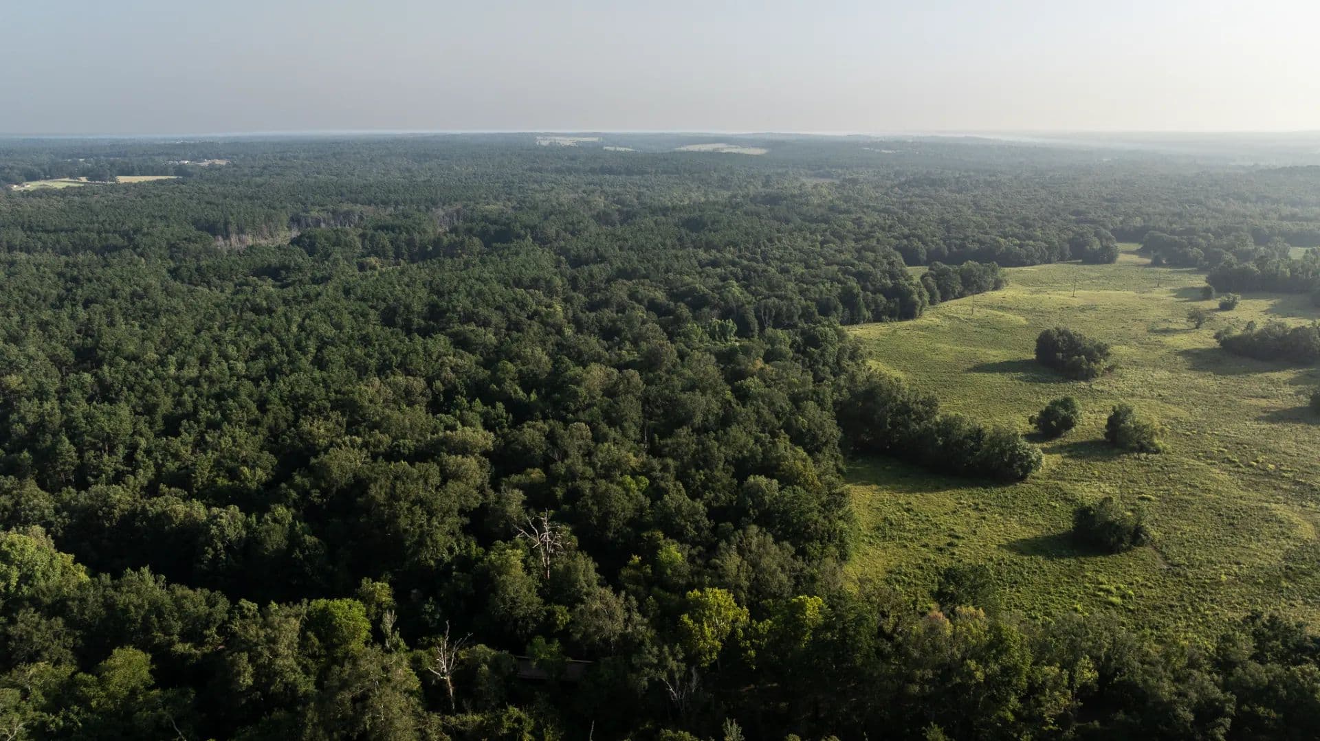 TSG Ranch in Laneville, TX for Sale - 328 Acres of Hunting, Fishing & Timberland - Laneville, Texas, 75667