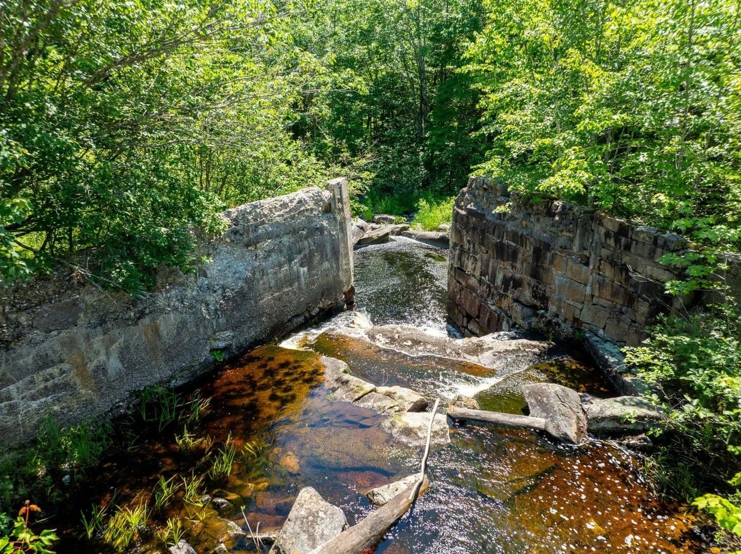 Vacant Land in Marshfield - Marshfield, Maine, 04654