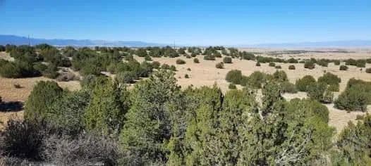 Lot 25 Cedarwood Station Pueblo, CO 81069