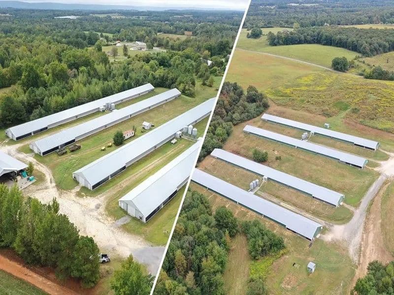 Hilltop Road Broiler Farm – Eight House Farm in Dekalb County, Alabama - Henagar, Alabama, 35978